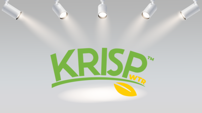 krisp free alternative krisp free alternative